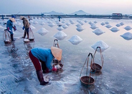 salt-field-phan-rang Tour
